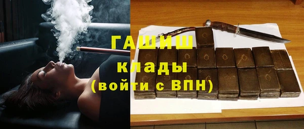 МДПВ Каменка