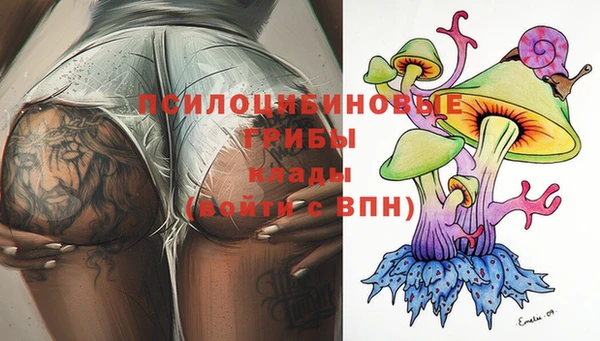 не бодяженный Каменногорск