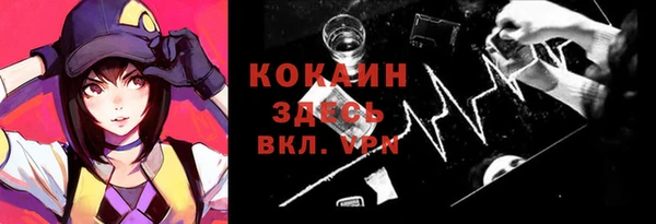 МДПВ Каменка