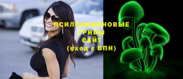 не бодяженный Каменногорск