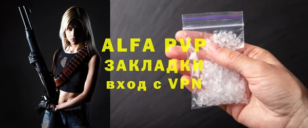 МДПВ Каменка