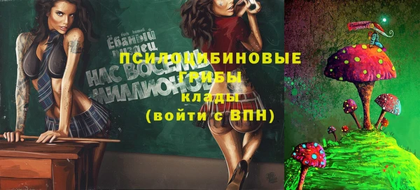не бодяженный Каменногорск
