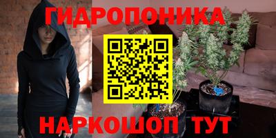 бошки Абакан