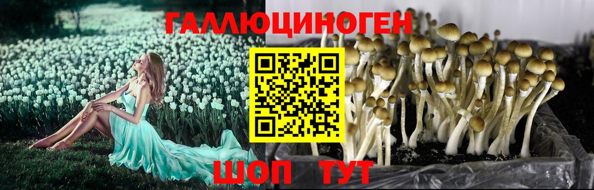 Галлюциногенные грибы мухоморы Зима