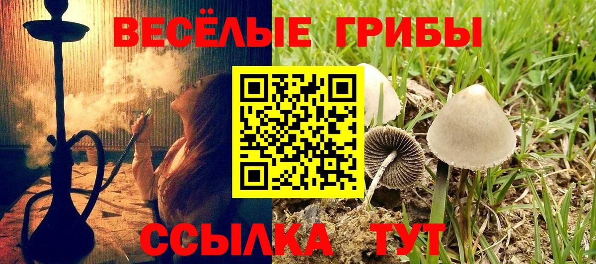Зима  Галлюциногенные грибы мухоморы  Вход с VPN  Псилоцибиновые грибы Cubensis 