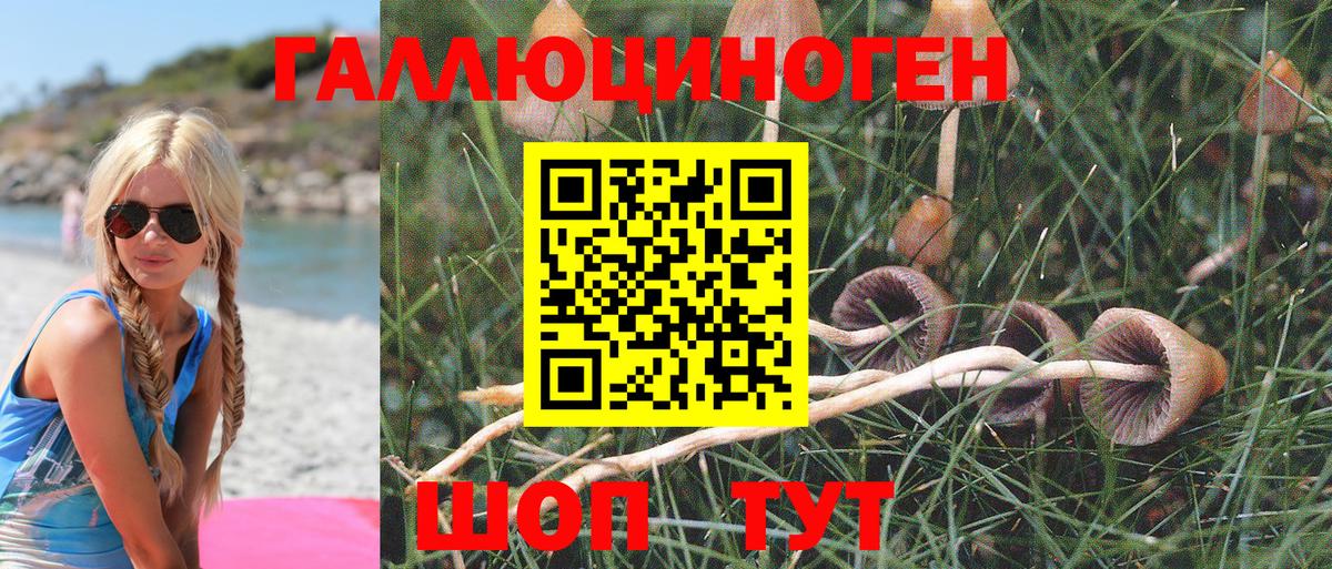закладки  Зима  Псилоцибиновые грибы мицелий 